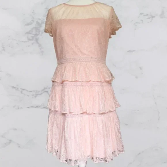 Adrianna Papell | Dresses | Adrianna Papell Blush Pink Lace Dress | Poshmark